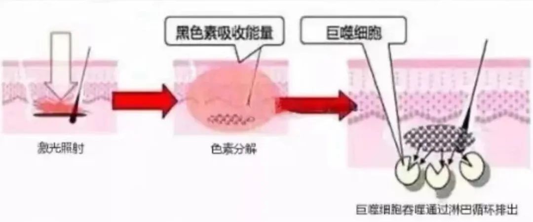 640_wx_fmt=jpeg&wxfrom=5&wx_lazy=1&wx_co=1 (11).jpg