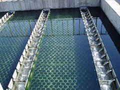 蜂窝斜管沉淀池出现絮凝体怎么办？